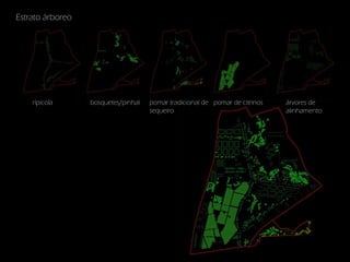 Estrato árboreo

rípicola

bosquetes/pinhal

pomar tradicional de pomar de citrinos
sequeiro

árvores de
alinhamento

 