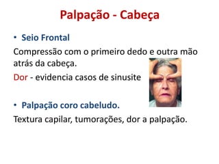 Palpação - Cabeça
• Seio Frontal
Compressão com o primeiro dedo e outra mão
atrás da cabeça.
Dor - evidencia casos de sinusite
• Palpação coro cabeludo.
Textura capilar, tumorações, dor a palpação.
 