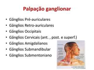 Palpação ganglionar
• Gânglios Pré-auriculares
• Gânglios Retro-auriculares
• Gânglios Occipitais
• Gânglios Cervicais (ant. , post. e superf.)
• Gânglios Amigdalianos
• Gânglios Submandibular
• Gânglios Submentoniano
 
