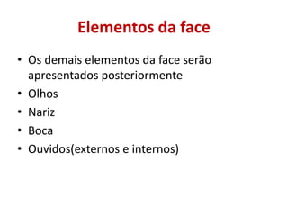 Elementos da face
• Os demais elementos da face serão
apresentados posteriormente
• Olhos
• Nariz
• Boca
• Ouvidos(externos e internos)
 