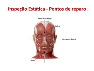 Inspeção Estática - Pontos de reparo
 
