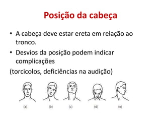 Posição da cabeça
• A cabeça deve estar ereta em relação ao
tronco.
• Desvios da posição podem indicar
complicações
(torcicolos, deficiências na audição)
 