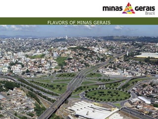 FLAVORS OF MINAS GERAIS 