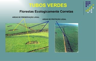 TUBOS VERDES AREAS DE PRESERVAÇÃO LEGAL AREAS DE PROTEÇÃO LEGAL Florestas Ecologicamente Corretas 