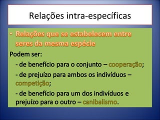 Relações intra-específicas 