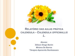 RELATÓRIO DAS AULAS PRÁTICA
CALENDULA - CALENDULA OFFICINALLIS
L.
Alunos:
Délson Diogo Borim
Miriana De Barros
Tânajara Aparecida Bombassaro
 