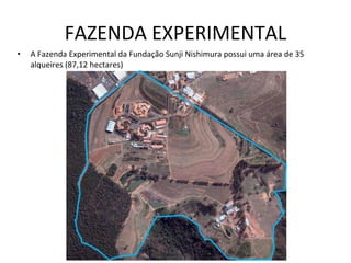 FAZENDA EXPERIMENTAL A Fazenda Experimental da Fundação Sunji Nishimura possui uma área de 35 alqueires (87,12 hectares)  