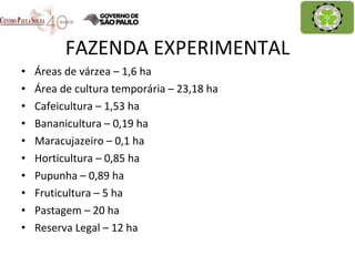FAZENDA EXPERIMENTAL Áreas de várzea – 1,6 ha Área de cultura temporária – 23,18 ha Cafeicultura – 1,53 ha Bananicultura – 0,19 ha Maracujazeiro – 0,1 ha Horticultura – 0,85 ha Pupunha – 0,89 ha Fruticultura – 5 ha Pastagem – 20 ha Reserva Legal – 12 ha 