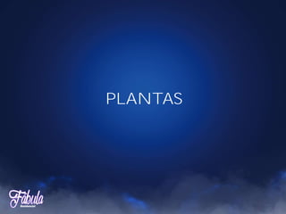 PLANTAS
 