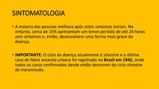 SINTOMATOLOGIA
• A maioria das pessoas melhora após estes sintomas iniciais. No
entanto, cerca de 15% apresentam um breve período de até 24 horas
sem sintomas e, então, desenvolvem uma forma mais grave da
doença.
• IMPORTANTE: O ciclo da doença atualmente é silvestre e o último
caso de febre amarela urbana foi registrado no Brasil em 1942, onde
todos os casos confirmados desde então decorrem do ciclo silvestre
de transmissão.
 