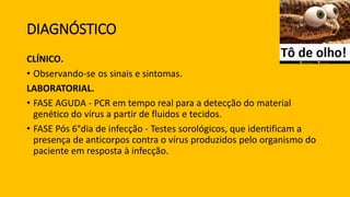 DIAGNÓSTICO
CLÍNICO.
• Observando-se os sinais e sintomas.
LABORATORIAL.
• FASE AGUDA - PCR em tempo real para a detecção do material
genético do vírus a partir de fluidos e tecidos.
• FASE Pós 6°dia de infecção - Testes sorológicos, que identificam a
presença de anticorpos contra o vírus produzidos pelo organismo do
paciente em resposta à infecção.
 