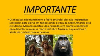 IMPORTANTE
• Os macacos não transmitem a febre amarela! Eles são importantes
sentinelas para alerta em regiões onde o vírus da Febre Amarela está
circulando. Macacos mortos são analisados em exames específicos
para detectar se a causa morte foi Febre Amarela, o que aciona o
alerta de cuidado com as pessoas.
 