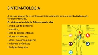 SINTOMATOLOGIA
A pessoa apresenta os sintomas iniciais da febre amarela de 3 a 6 dias após
ter sido infectada.
Os sintomas iniciais da febre amarela são:
• início súbito de febre;
• calafrios;
• dor de cabeça intensa;
• dores nas costas;
• dores no corpo em geral;
• náuseas e vômitos;
• fadiga e fraqueza.
 