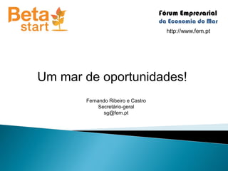 http://www.fem.pt




Um mar de oportunidades!
       Fernando Ribeiro e Castro
            Secretário-geral
              sg@fem.pt
 