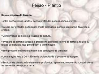 Feijão - Plantio

Solo e preparo do terreno:

solos encharcados, ácidos, sendo preferidas as terras boas e leves.

Devem ser evitados os terrenos muito inclinados, porque seu cultivo favorece a
erosão.

Conservação do solo e a rotação de cultura.

 Preparo do terreno: aração e gradagem. Deixando-o livre de torrões, raízes ou
restos de culturas, que prejudicam a germinação.

Bom preparo: depende também das condições de umidade

Uma aração feita a 20 – 25cm de profundidade e posterior gradagem.

Buracos de plantio: não devem ser profundos, aproximadamente 5cm, cobrindo-se
as sementes com pouca terra
 