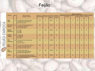 Feijão
 