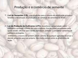 Produção e o comércio de semente

1 ) Lei de Sementes (LS) , cria condições para o sistema de certificação privada e
   fortalece a fiscalização da produção e do comércio de sementes no Brasil.



2 ) Lei de Proteção de Cultivares (LPC), reconhece a propriedade sobre
    cultivares e protege o direito dos seus criadores. Esta lei prevê penalidades para
    quem vender, oferecer para venda, reproduzir, embalar e armazenar sementes de
    cultivares protegidas.
     Entretanto, a mesma lei também prevê o direito de qualquer agricultor reservar e
    plantar sementes para uso próprio, fato muito comum entre os produtores de
    feijão.
 