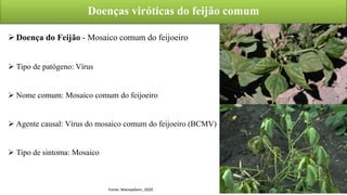 Doenças viróticas do feijão comum
Doença do Feijão - Mosaico comum do feijoeiro
 Tipo de patógeno: Vírus
 Nome comum: Mosaico comum do feijoeiro
 Agente causal: Vírus do mosaico comum do feijoeiro (BCMV)
 Tipo de sintoma: Mosaico
Fonte: Manejebem, 2020
 