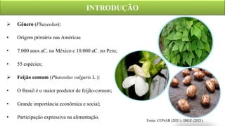  Gênero (Phaseolus):
• Origem primária nas Américas
• 7.000 anos aC. no México e 10.000 aC. no Peru;
• 55 espécies;
 Feijão comum (Phaseolus vulgaris L.):
• O Brasil é o maior produtor de feijão-comum;
• Grande importância econômica e social;
• Participação expressiva na alimentação.
INTRODUÇÃO
Fonte: CONAB (2021); IBGE (2021).
 