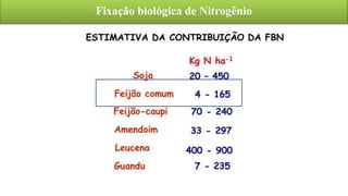 Fixação biológica de Nitrogênio
Fonte: Agrolink, 2020
 