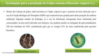 Tecnologias para a produção de Feijão comum (Phaseolus vulgaris L.)
Rhizobium tropici Azospirillum brasiliense
Fonte: Embrapa (2018)
• Dentro das culturas de grãos, onde encontra-se o feijão, espera-se que o aumento da área cultivada com o
uso de Fixação Biológica de Nitrogênio (FBN) seja responsável por grande parte desta projeção de melhora
ambiental. Segundo estudos da Embrapa, se o uso de fertilizante nitrogenado fosse substituído pela
coinoculação, na área total cultivada com feijoeiro, isso poderia resultar na mitigação de aproximadamente
700 mil toneladas de CO2, contribuindo para que se cumpra 52% da meta estabelecida pelo governo
brasileiro.
 