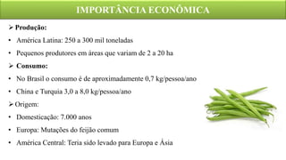 IMPORTÂNCIA ECONÔMICA
Produção:
• América Latina: 250 a 300 mil toneladas
• Pequenos produtores em áreas que variam de 2 a 20 ha
 Consumo:
• No Brasil o consumo é de aproximadamente 0,7 kg/pessoa/ano
• China e Turquia 3,0 a 8,0 kg/pessoa/ano
Origem:
• Domesticação: 7.000 anos
• Europa: Mutações do feijão comum
• América Central: Teria sido levado para Europa e Ásia
 