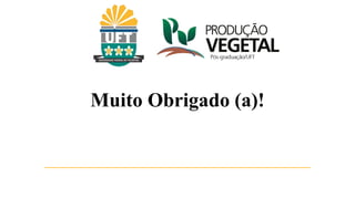 Muito Obrigado (a)!
 