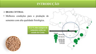 INTRODUÇÃO
 BRASIL CENTRAL:
• Melhores condições para a produção de
sementes com alta qualidade fisiológica.
37,3 % dos campos de
sementes estão no
estado do Goiás.
 