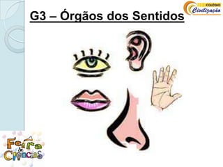 G3 – Órgãos dos Sentidos  