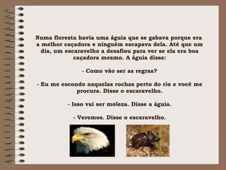 Numa floresta havia uma águia que se gabava porque era  a melhor caçadora e ninguém escapava dela. Até que um dia, um escaravelho a desafiou para ver se ela era boa caçadora mesmo. A águia disse: - Como vão ser as regras? - Eu me escondo naquelas rochas perto do rio e você me procura. Disse o escaravelho. - Isso vai ser moleza. Disse a águia. - Veremos. Disse o escaravelho. 