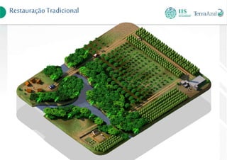 RestauraçãoTradicional
 