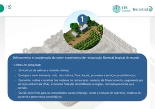 IIS
Delineamento e coordenação do maior experimento de restauração florestal tropical do mundo
• Linhas de pesquisas:
• Silvicultura de nativas e modelos mistos;
• Ecologia e meio ambiente: solo, microclima, flora, fauna, processos e serviços ecossistêmicos;
• Economia: custos e receitas dos modelos de restauração, modelos de financiamento, pagamento por
serviços ambientais (PSA), economia florestal diversificada na região, mercado potencial para
nativas;
• Social: benefícios para as comunidades locais (emprego, renda e redução de pobreza), modelos de
parceria e governança comunitária;
 