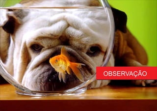 OBSERVAÇÃO
 