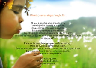 Mistério, calma, alegria, magia, fé...
O fato é que há uma energia viva
que ninguém consegue explicar.
Uma energia poderosa e gloriosa.
Essa força supera a força física.
Aquele que se rende se alegra, se liberta e sorri
pois não apenas vê a vida diante dos olhos mas sente o seu valor,
unindo-se à Ela.
Para sentir essa beleza é preciso fazer esforço.
Mais do que as palavras que falam.
Para se viver de verdade, é preciso querer com atos, que dizem.
É preciso cultivar o sorriso sincero na alma.
Na própria e na do próximo.
É preciso querer.
É preciso ESFORÇO.
É preciso amar.
 