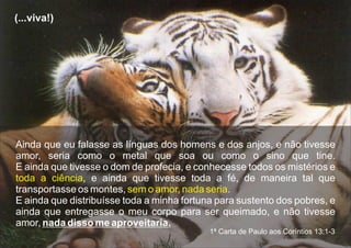 Ainda que eu falasse as línguas dos homens e dos anjos, e não tivesse
amor, seria como o metal que soa ou como o sino que tine.
E ainda que tivesse o dom de profecia, e conhecesse todos os mistérios e
, e ainda que tivesse toda a fé, de maneira tal que
transportasse os montes, .
E ainda que distribuísse toda a minha fortuna para sustento dos pobres, e
ainda que entregasse o meu corpo para ser queimado, e não tivesse
amor, nada disso me aproveitaria.
toda a ciência
sem o amor, nada seria
1ª Carta de Paulo aos Coríntios 13:1-3
(...viva!)
 