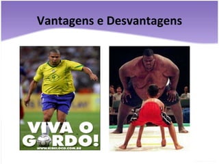 Vantagens e Desvantagens 