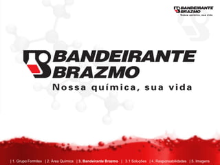 | 1. Grupo Formitex | 2. Área Química | 3. Bandeirante Brazmo | 3.1 Soluções | 4. Responsabilidades | 5. Imagens
 