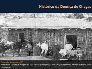 ♦  Descoberta entre os anos de 1907 e 1909 pelo médico e pesquisador  Carlos  Ribeiro Justianiano das  Chagas. ♦  É o único caso da história da medicina em que o agente etiológico de uma doença, seu transmissor e as suas manifestações clínicas foram descritas pelo mesmo investigador. (Fonte: Tratado de Infectologia Veronesi. 3ª edição, 2005.) Fig.03.  Carlos Chagas(1879-1934) Fotografia do ano de 1907.  Nesta casa, situada às margens do rio Buriti Pequeno (MG), Carlos Chagas identificou o vetor “barbeiro” pela primeira vez . 