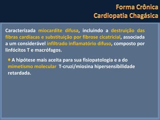Caracterizada  miocardite difusa , incluindo a  destruição das fibras cardíacas e substituição por fibrose cicatricial , associada a um considerável  infiltrado inflamatório difuso , composto por linfócitos T e macrófagos. ♦  A hipótese mais aceita para sua fisiopatologia e a do  mimetismo molecular  T-cruzi/miosina hipersensibilidade retardada. 
