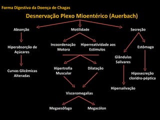 Forma Digestiva da Doença de Chagas Desnervação Plexo Mioentérico (Auerbach) Absorção  Motilidade  Secreção Hiperabsorção de Açúcares Curvas Glicêmicas Alteradas Hiperreatividade aos Estímulos  Incoordenação Motora Hipertrofia Muscular Dilatação Visceromegalias Megaesôfago Megacólon Estômago Glândulas Salivares Hipersalivação Hiposecreção cloridro-péptica 