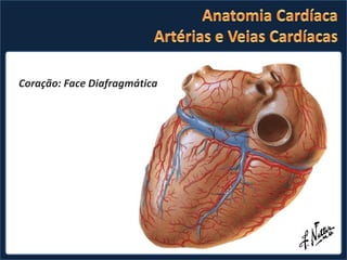 Coração: Face Esternocostal Coração: Face Diafragmática 