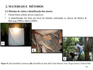 Figura 9. (A) Armadilha Luminosa, (B) Armadilha de Solo, (C) Coleta Manual. Foto: Diego Gomes e Daniel Filho.
2. MATERIAIS E MÉTODOS
2.2 Métodos de coleta e identificação dos insetos
• Foram feitas coletas ativas e passivas.
• A identificação foi feita em nível de família, utilizando as chaves de Borror &
DeLong (1988) e Buzzi (2005)
10
A
B
C
 
