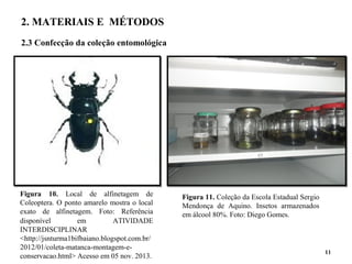 2. MATERIAIS E MÉTODOS
2.3 Confecção da coleção entomológica
11
Figura 10. Local de alfinetagem de
Coleoptera. O ponto amarelo mostra o local
exato de alfinetagem. Foto: Referência
disponível em ATIVIDADE
INTERDISCIPLINAR
<http://jsnturma1bifbaiano.blogspot.com.br/
2012/01/coleta-matanca-montagem-e-
conservacao.html> Acesso em 05 nov. 2013.
Figura 11. Coleção da Escola Estadual Sergio
Mendonça de Aquino. Insetos armazenados
em álcool 80%. Foto: Diego Gomes.
 