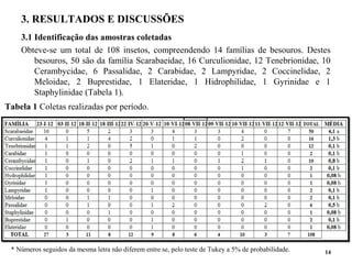 3. RESULTADOS E DISCUSSÕES
3.1 Identificação das amostras coletadas
Obteve-se um total de 108 insetos, compreendendo 14 famílias de besouros. Destes
besouros, 50 são da família Scarabaeidae, 16 Curculionidae, 12 Tenebrionidae, 10
Cerambycidae, 6 Passalidae, 2 Carabidae, 2 Lampyridae, 2 Coccinelidae, 2
Meloidae, 2 Buprestidae, 1 Elateridae, 1 Hidrophilidae, 1 Gyrinidae e 1
Staphylinidae (Tabela 1).
14
Tabela 1 Coletas realizadas por período.
* Números seguidos da mesma letra não diferem entre se, pelo teste de Tukey a 5% de probabilidade.
 
