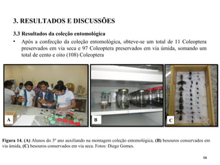 3. RESULTADOS E DISCUSSÕES
3.3 Resultados da coleção entomológica
• Após a confecção da coleção entomológica, obteve-se um total de 11 Coleoptera
preservados em via seca e 97 Coleoptera preservados em via úmida, somando um
total de cento e oito (108) Coleoptera
16
Figura 14. (A) Alunos do 3º ano auxiliando na montagem coleção entomológica, (B) besouros conservados em
via úmida, (C) besouros conservados em via seca. Fotos: Diego Gomes.
A B C
 
