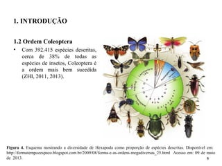 Figura 4. Esquema mostrando a diversidade de Hexapoda como proporção de espécies descritas. Disponível em:
http://formatempoeespaco.blogspot.com.br/2009/08/forma-e-as-ordens-megadiversas_25.html Acesso em: 09 de maio
de 2013.
1. INTRODUÇÃO
1.2 Ordem Coleoptera
• Com 392.415 espécies descritas,
cerca de 38% de todas as
espécies de insetos, Coleoptera é
a ordem mais bem sucedida
(ZHI, 2011, 2013).
5
 