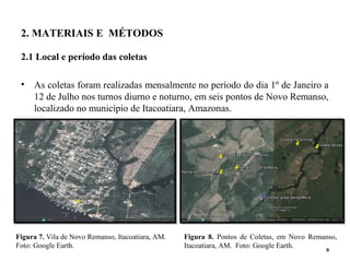 Figura 8. Pontos de Coletas, em Novo Remanso,
Itacoatiara, AM. Foto: Google Earth.
2. MATERIAIS E MÉTODOS
2.1 Local e período das coletas
• As coletas foram realizadas mensalmente no período do dia 1º de Janeiro a
12 de Julho nos turnos diurno e noturno, em seis pontos de Novo Remanso,
localizado no município de Itacoatiara, Amazonas.
9
Figura 7. Vila de Novo Remanso, Itacoatiara, AM.
Foto: Google Earth.
 