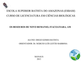 ESCOLA SUPERIOR BATISTA DO AMAZONAS (ESBAM)
CURSO DE LICENCIATURA EM CIÊNCIAS BIOLÓGICAS
OS BESOUROS DE NOVO REMANSO, ITACOATIARA, AM
ALUNO: DIEGO GOMES BATISTA
ORIENTADOR: Dr. MÁRCIO LUÍS LEITÃO BARBOSA
MANAUS
2013
 