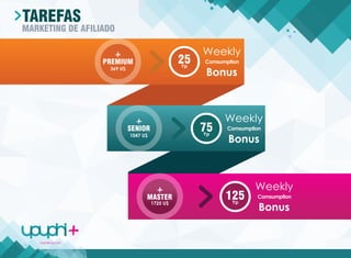 Apresentação final