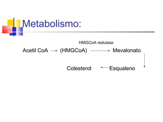 Metabolismo:
HMGCoA redutase
Acetil CoA (HMGCoA) Mevalonato
Colesterol Esqualeno
 